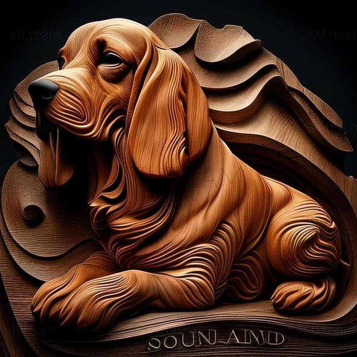 Animals The Smoland Hound dog